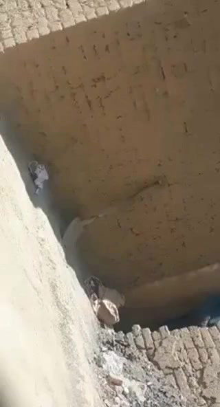 muslim lovers outdoor sex in standing position