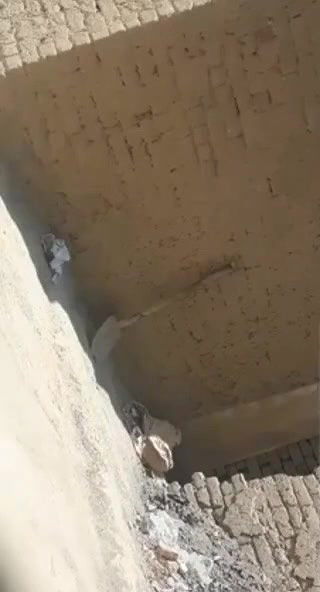 muslim lovers outdoor sex in standing position