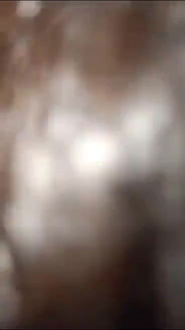 hot cute girl giving blowjob