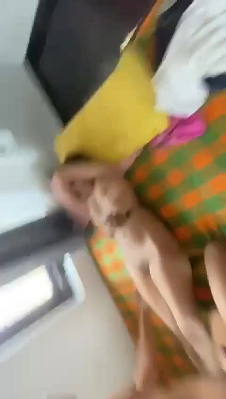 Shy Gf Pussy Licked and Fucked by Bf