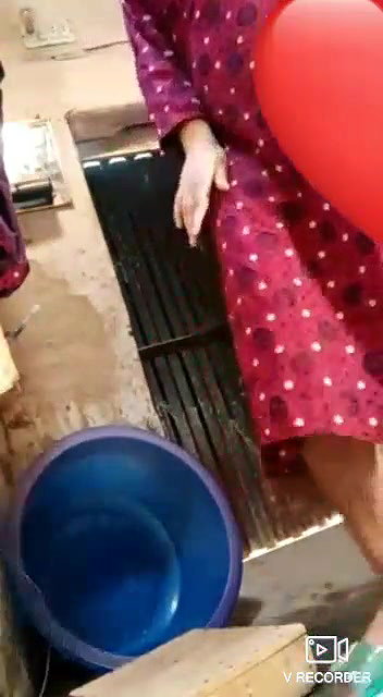bhabhi showing pussy on video call