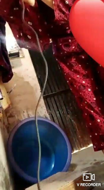 bhabhi showing pussy on video call