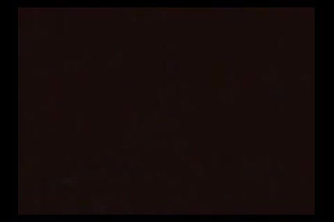 newly married couple sex