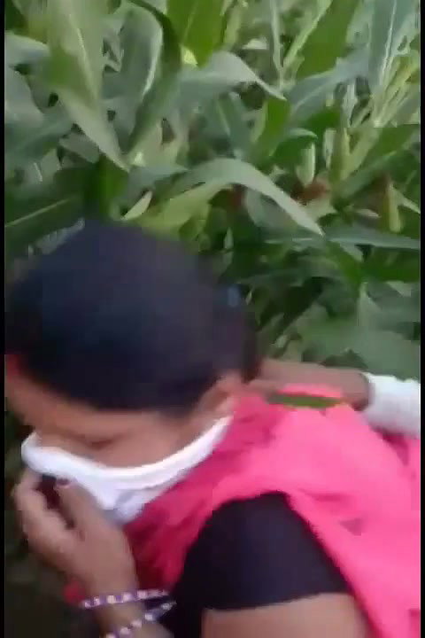 bhutta khet mein bhabhi ke sath masti