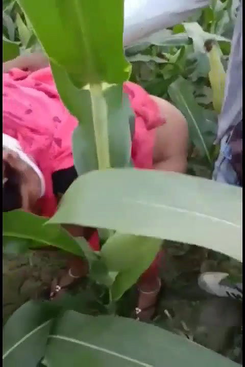 bhutta khet mein bhabhi ke sath masti