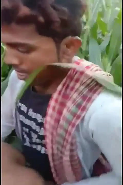 bhutta khet mein bhabhi ke sath masti
