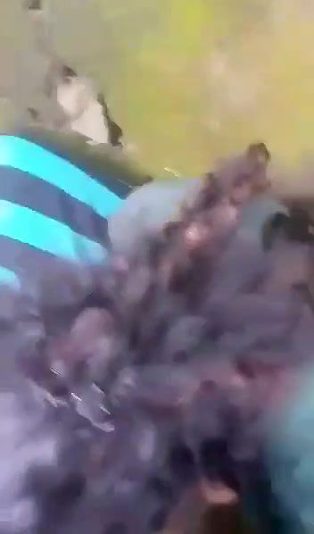 outdoor blowjob by gf