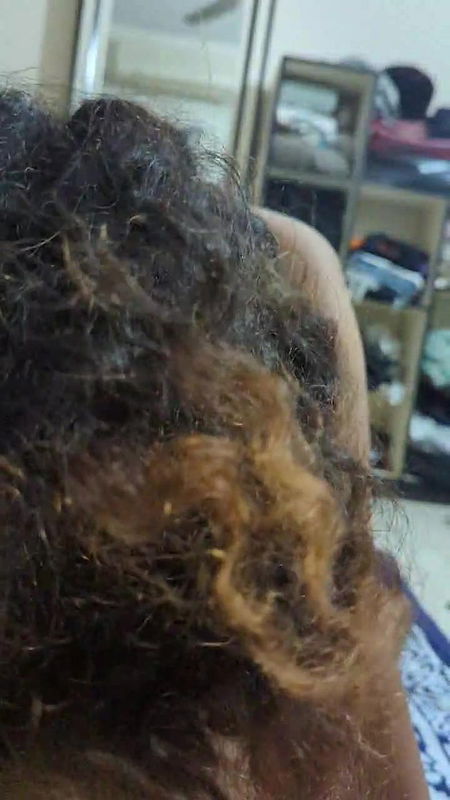 Curly Hair Girl Giving Blowjob Doggy Style Fucking 1