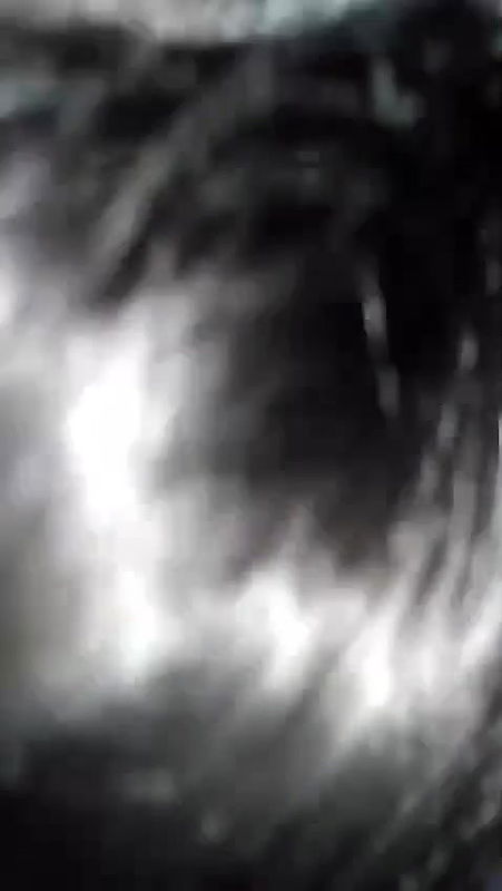 Cute girl with hairy pussy suck and fuck