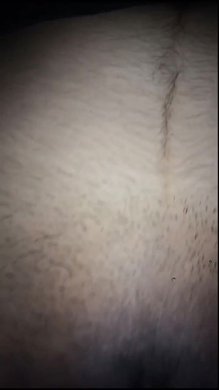 1 5035194210702067078