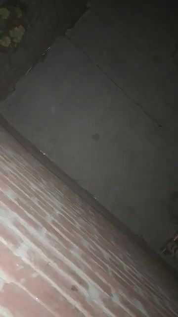 TG MEGASELLER7777 pakistani viral video