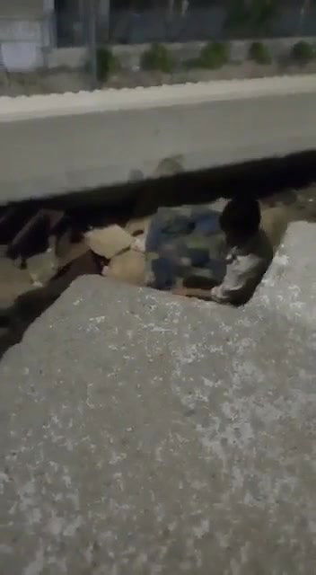 video 2021 07 27 16 30 44