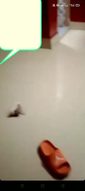 Video Call pe chut dikhayi