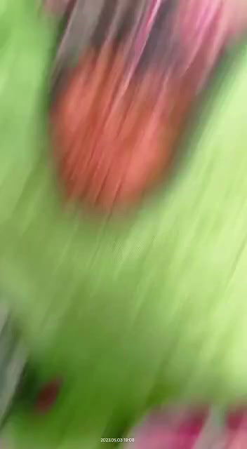 sex with saree wearing randi bhabhi in open field