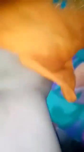 tight pussy girl fucked