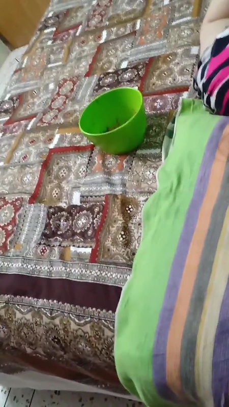 5 6303154726410128431