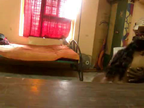 Horny South Indian Couple Leaked Sex Scandal   Indian Porn