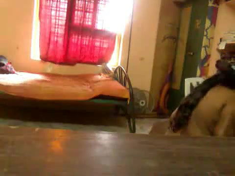 Horny South Indian Couple Leaked Sex Scandal   Indian Porn