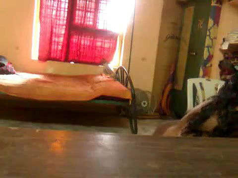 Horny South Indian Couple Leaked Sex Scandal   Indian Porn