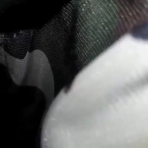 hijabi bhabhi fucked by young guy