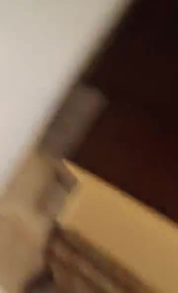 bengali boudi blowjob and pussy fingering