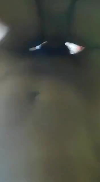 hardcore sex with gf