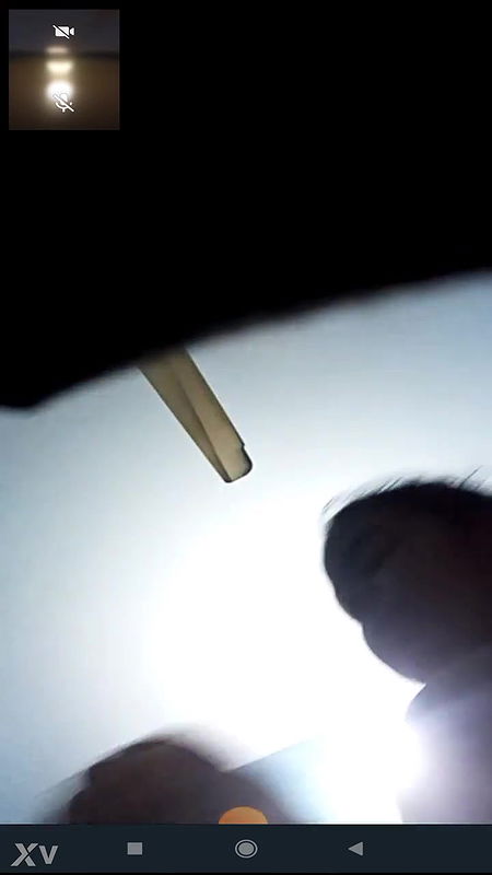 5 6154635298480329118