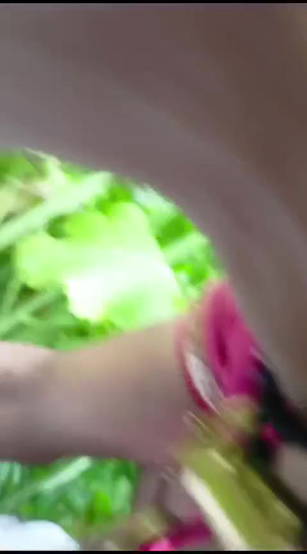 khet mein bhabhi ko patake choda