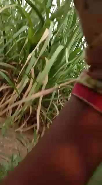 khet mein ladki ke sath chudai