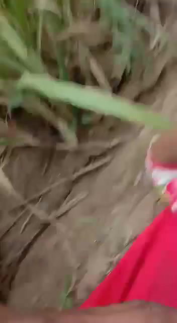 khet mein ladki ke sath chudai
