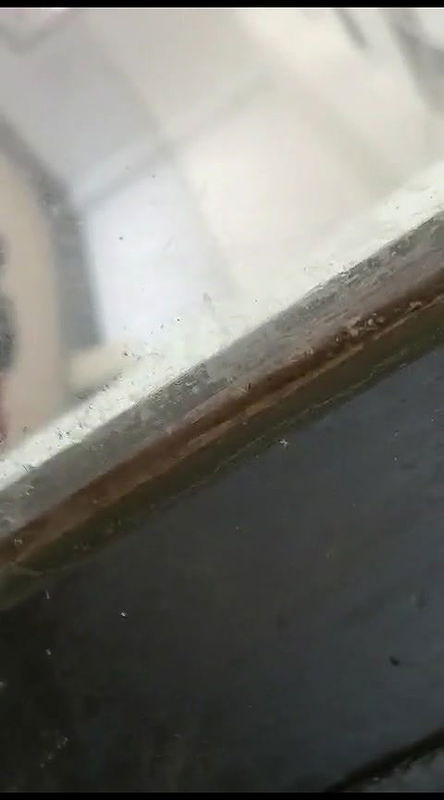 aex of couple in hall recorded secretly