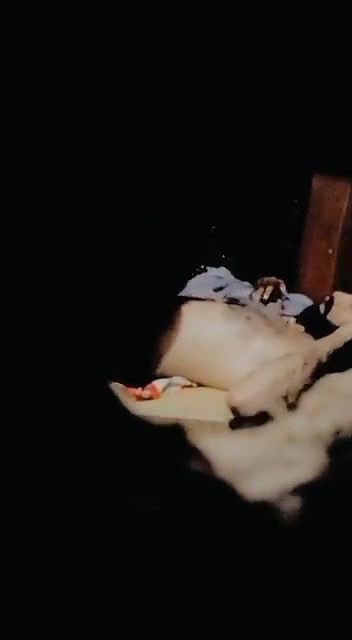 Romika Indian Mom Riding On Husband Dick Secretly Captured