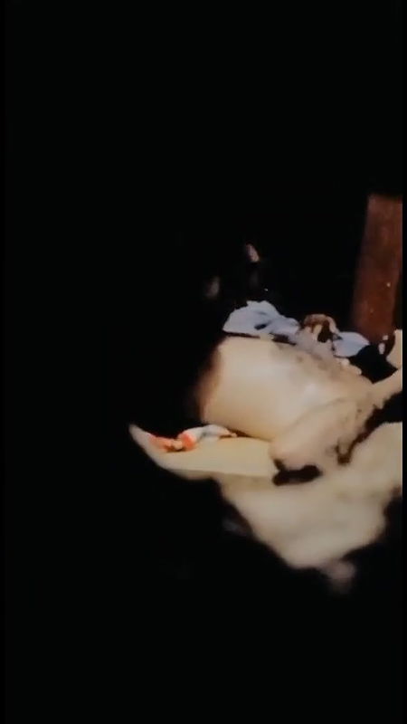 parents caught riding