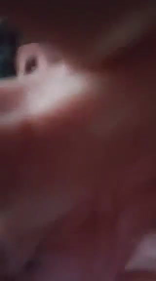 Bangladeshi Love Birds