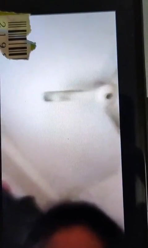 Bangladeshi Chubby Girl Priyal