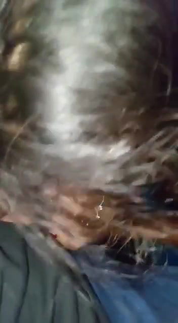 Desi Gf Sucking And Nude Exposed By Bf Clip 1