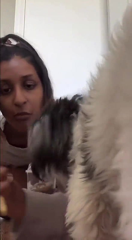 Beautiful brown nri babe nip slip on live video