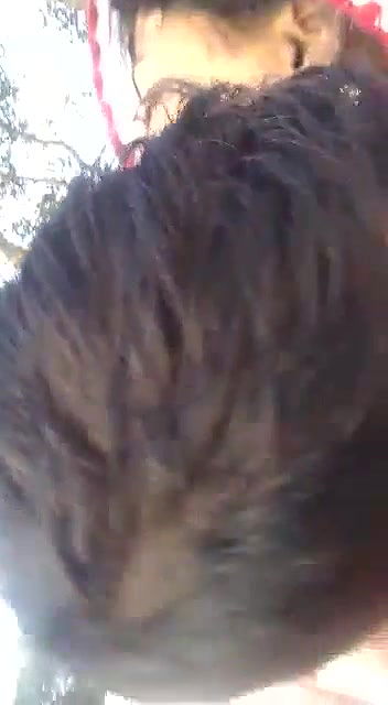 Soft Desi big boobs press outdoor sex MMS