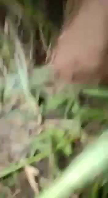 pussy fingering by neighbour