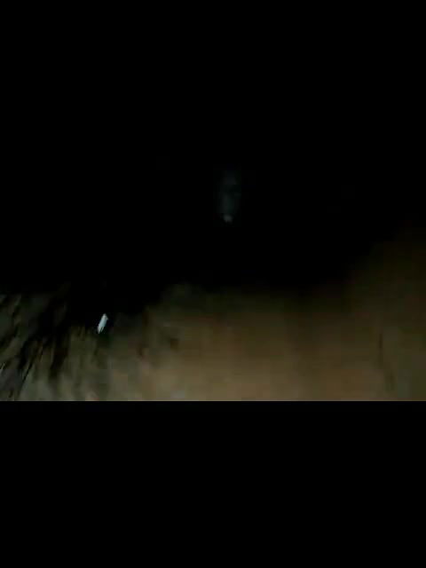 hairy pussy girl fucked