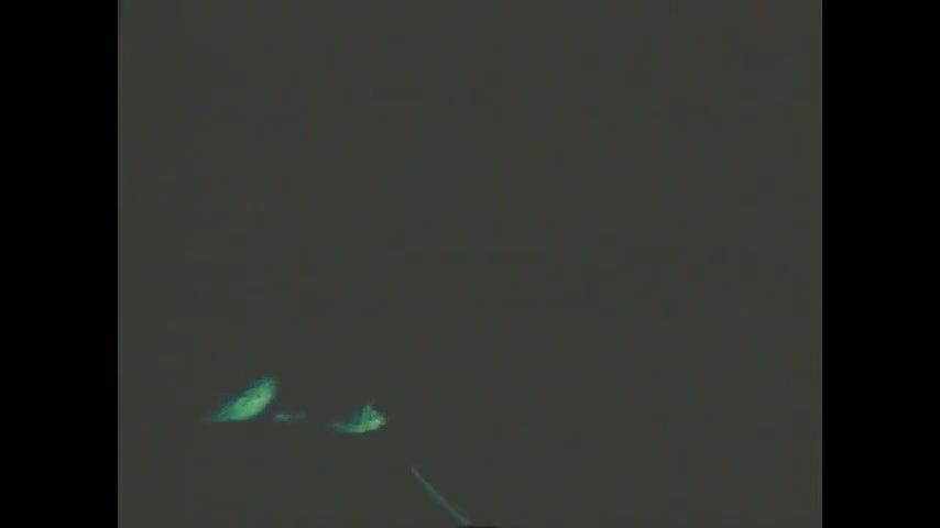 Babilona Compilations 5