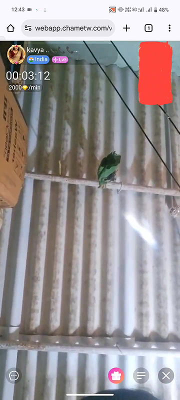 New chamet video collection 6208632550743613579