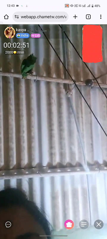 New chamet video collection 6208632550743613579