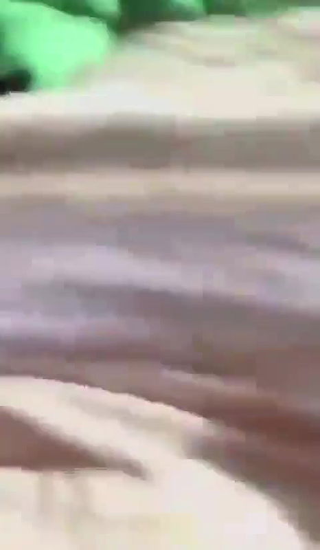 The Drake Canadian Singer MMS Video