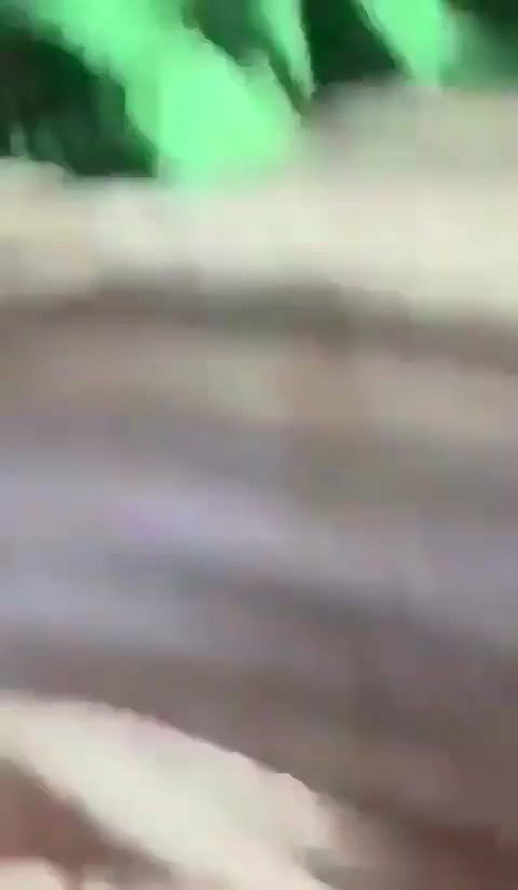 The Drake Canadian Singer MMS Video