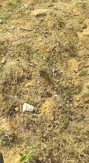 Indian Bhabhi sex in the outdoors