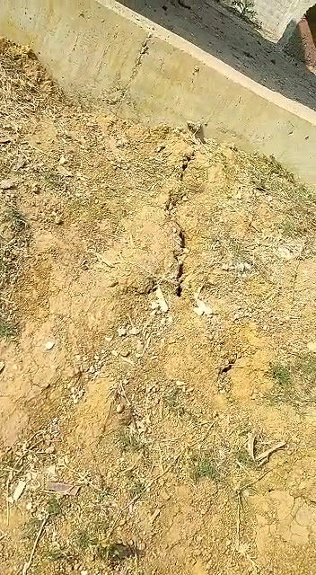 Indian Bhabhi sex in the outdoors