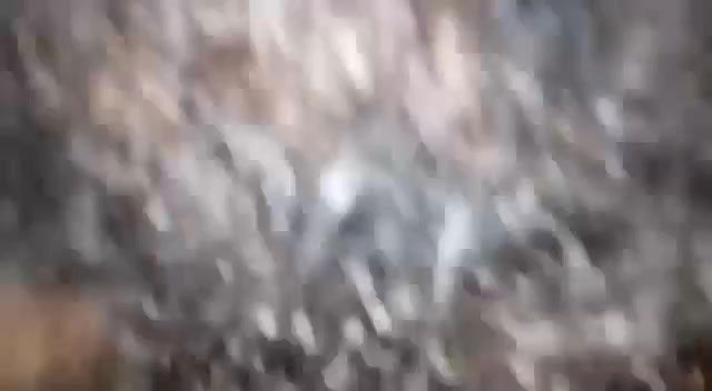 hairy pussy bhabhi ke sath chudai