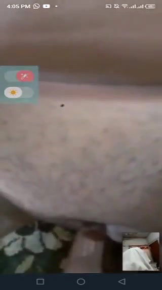 nude show in vc by gf