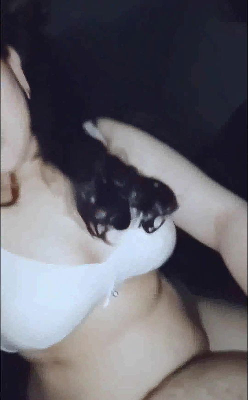 bbw chubby bhabhi fucked